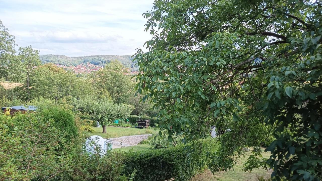Ferienhaus Am Bueckeberg Gernrode (Saxony-Anhalt) Exterior foto